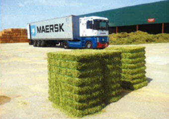 Baled hay (Spain)